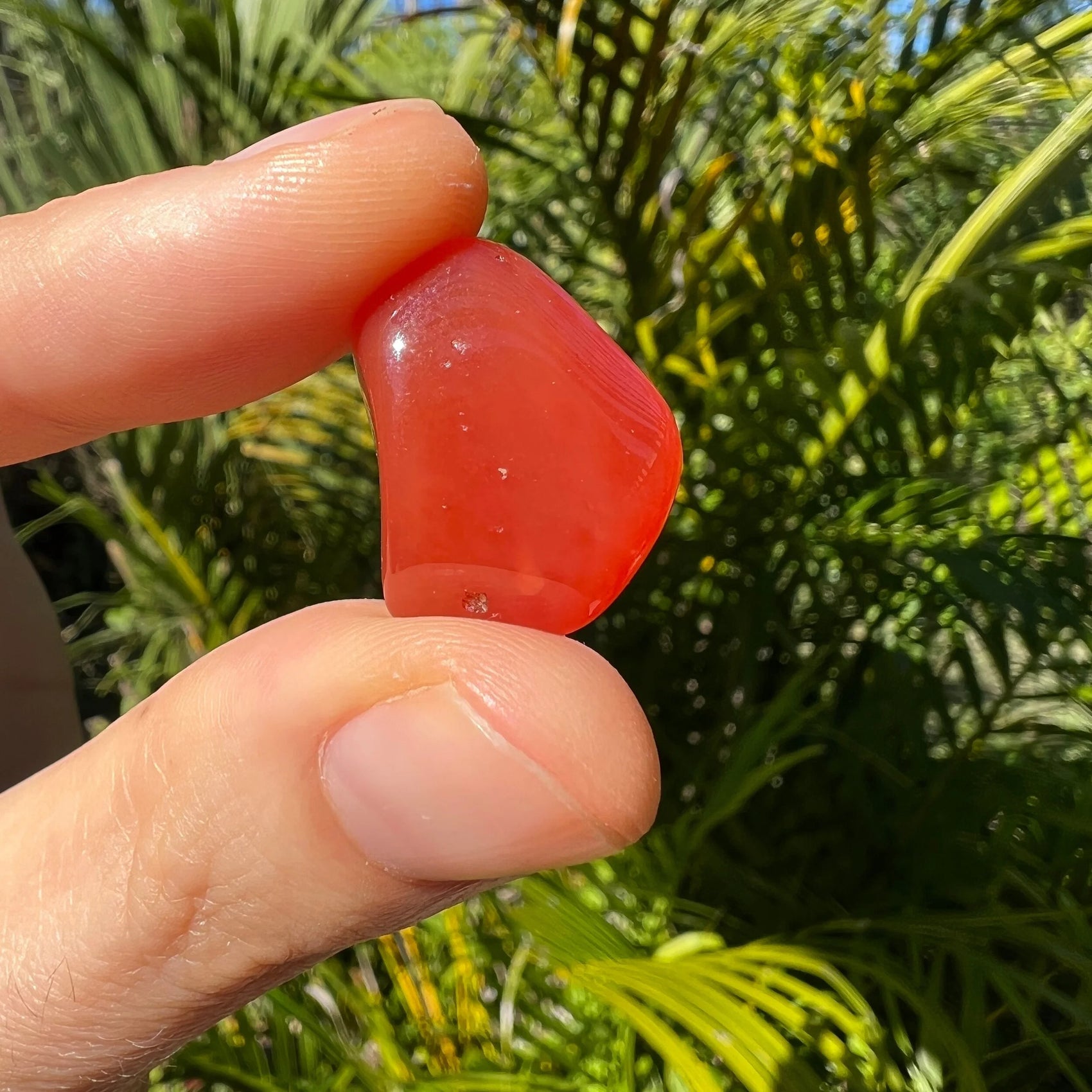 Full profile of Grade AA Carnelian tumbled stone ready to ship from Beyond Bohemian