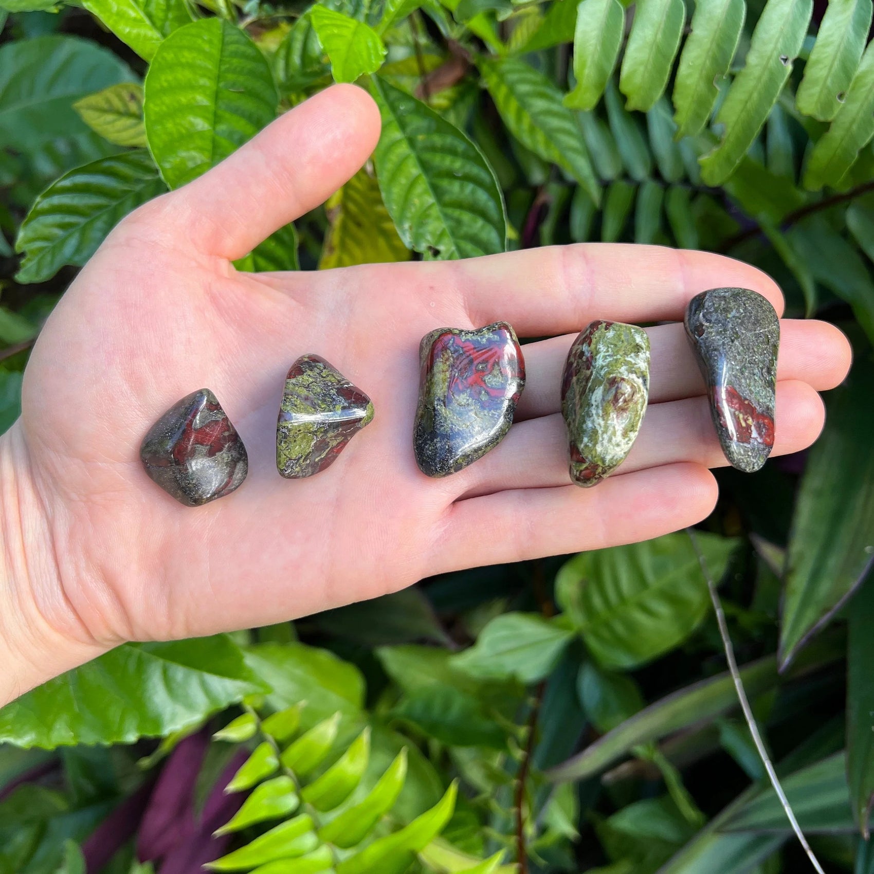 Dragon Bloodstone tumbled stone in Green, Red tones from South Africa for Energy and Protection