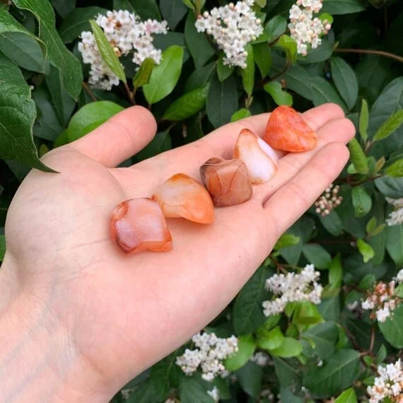 Full profile of Grade AA Carnelian tumbled stone ready to ship from Beyond Bohemian