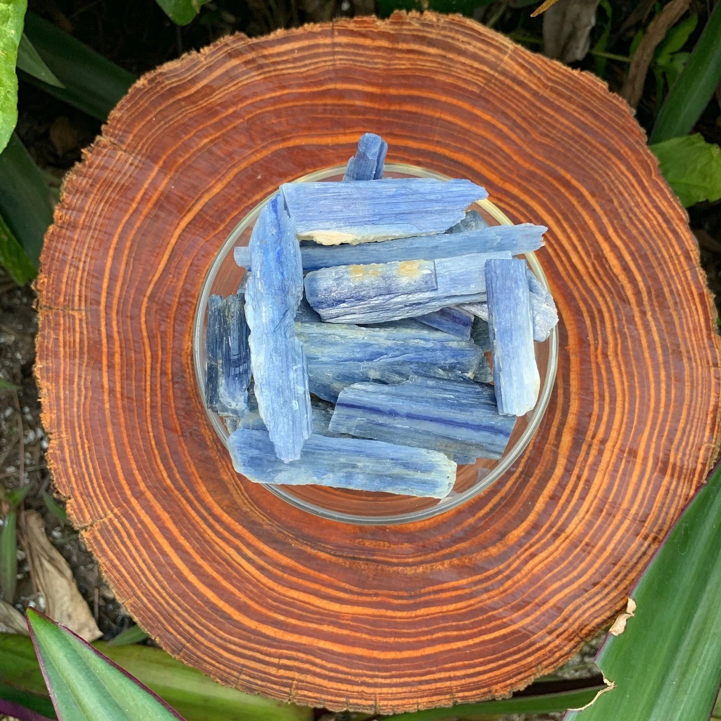 Back view of Grade AA Blue Kyanite raw showing natural surface