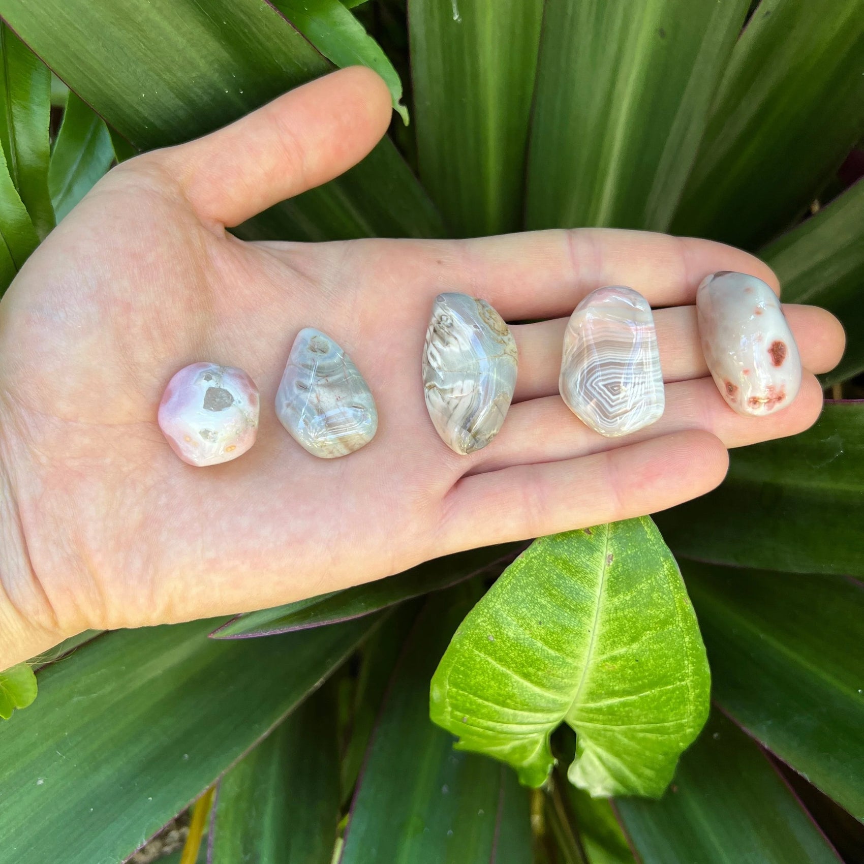 Close-up of Pink Agate tumbled stone from Botswana, soothing wellness stone for Emotional Healing