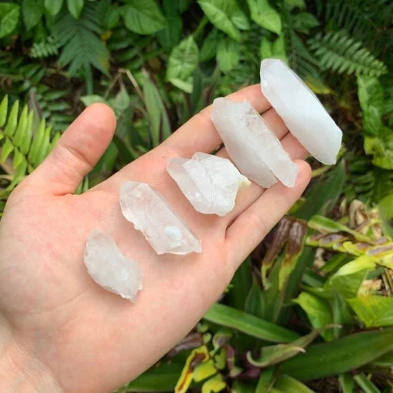 Edge view of Grade A Clear Quartz raw point, sourced from Arkansas, United States, worked with for Cleansing.