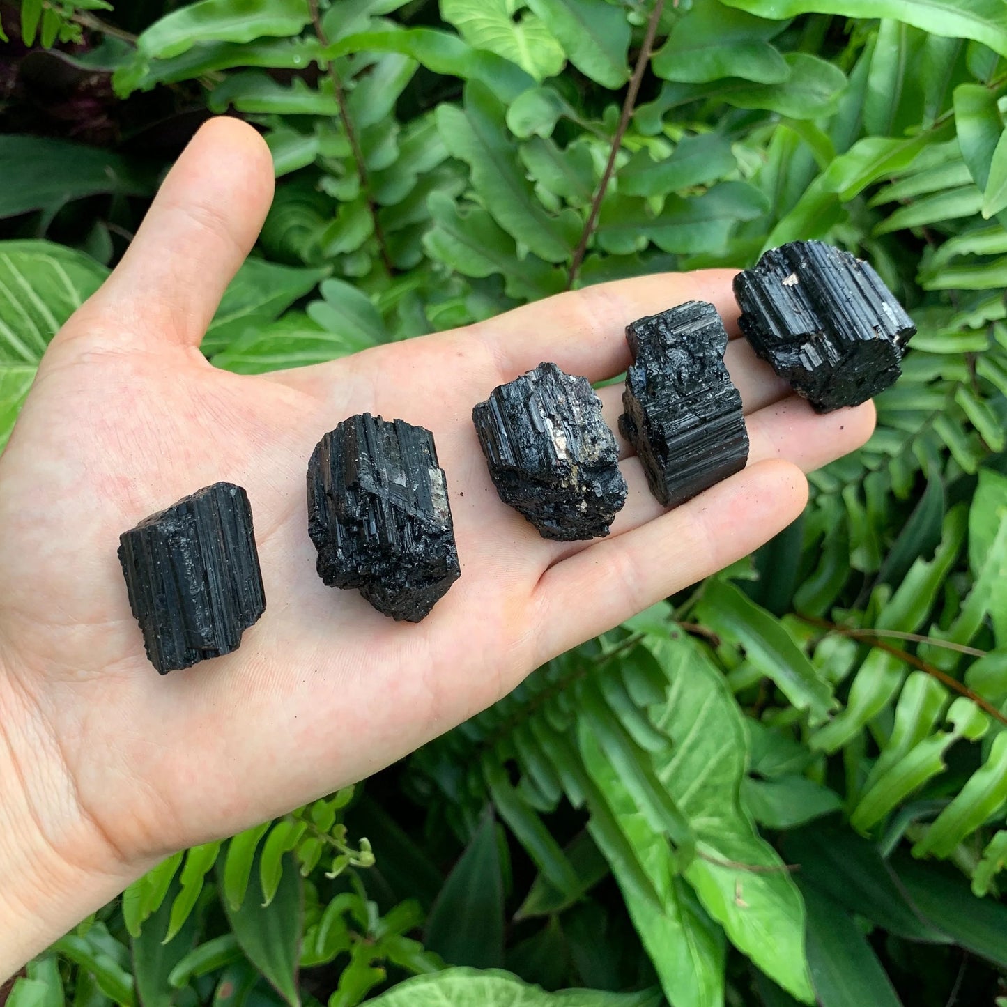 Bird's-eye view of Black Tourmaline raw stone, linked to Protection.