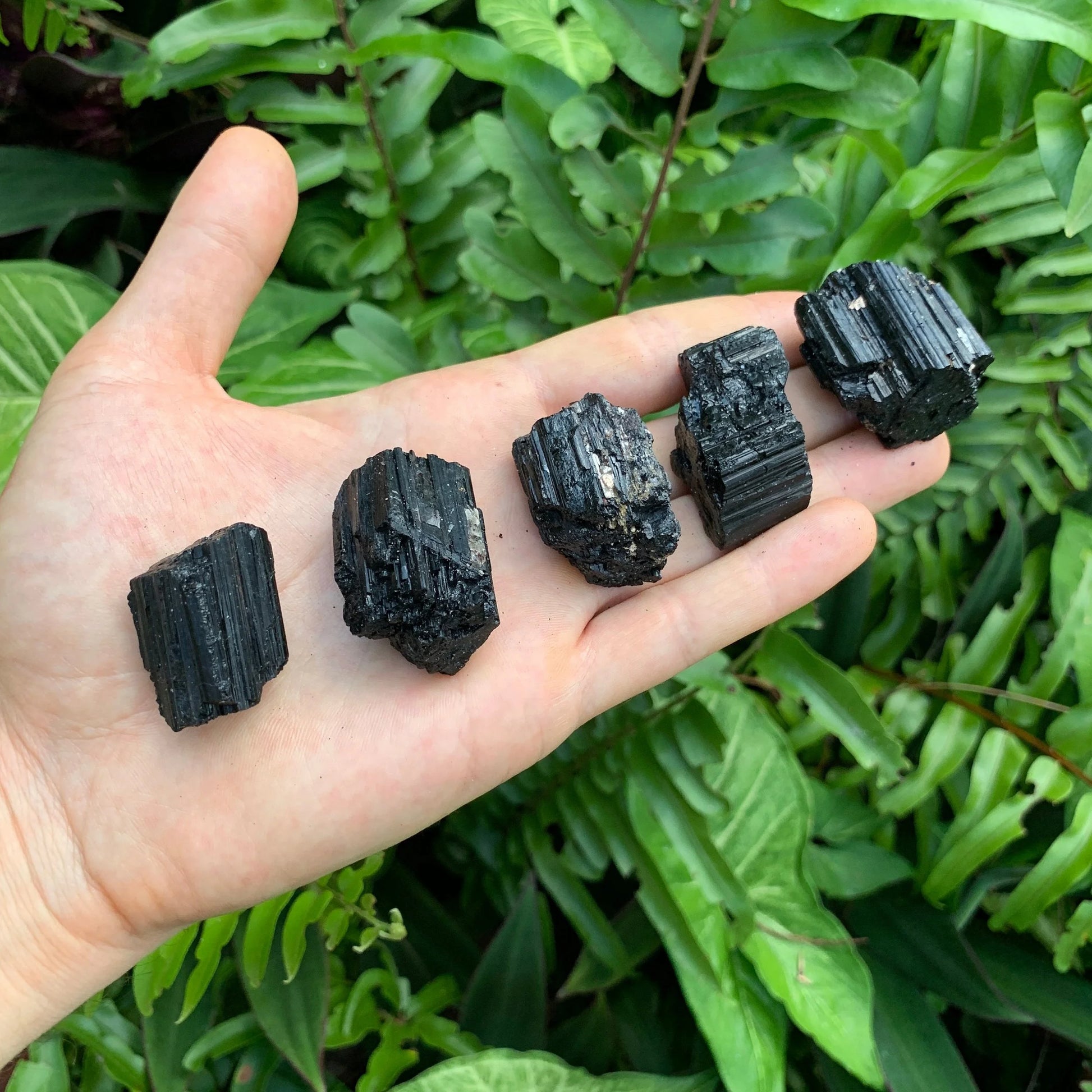 Bird's-eye view of Black Tourmaline raw stone, linked to Protection.