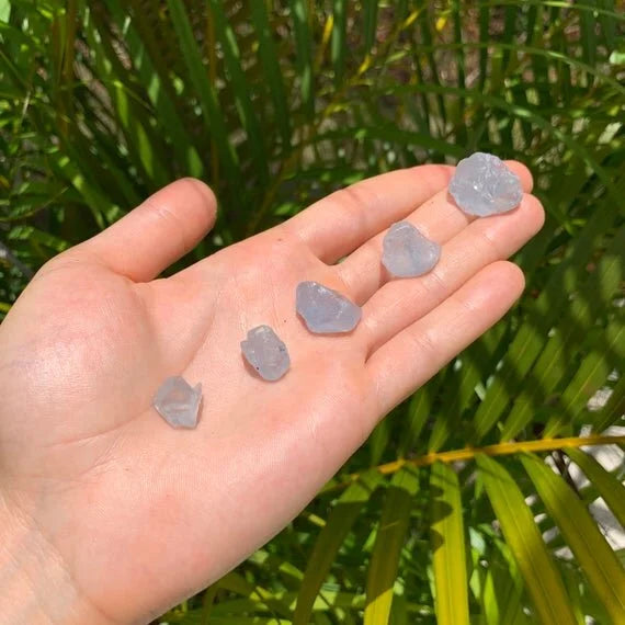 Detail shot of Grade AA Celestite raw under natural light