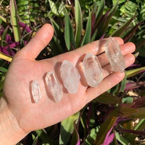 Detail shot of Grade AA Lemurian Quartz point under natural light