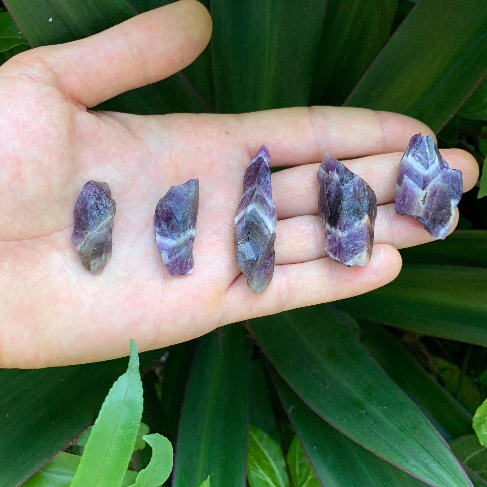 Grade aa chevron amethyst raw held in hand for size reference