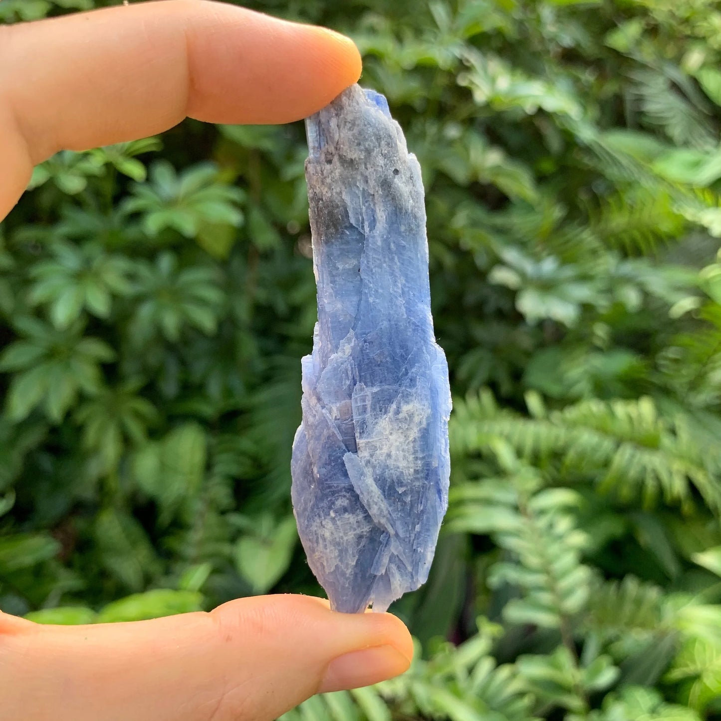 Full profile of Grade AA Blue Kyanite raw ready to ship from Beyond Bohemian
