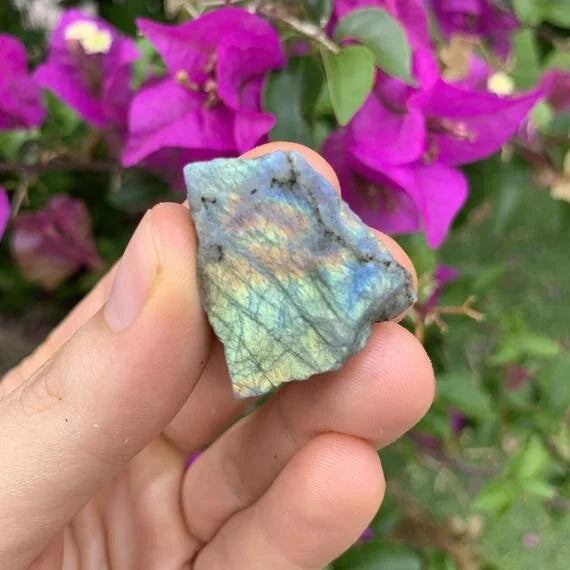 Alternate angle of Grade AAA Labradorite raw showing overall shape
