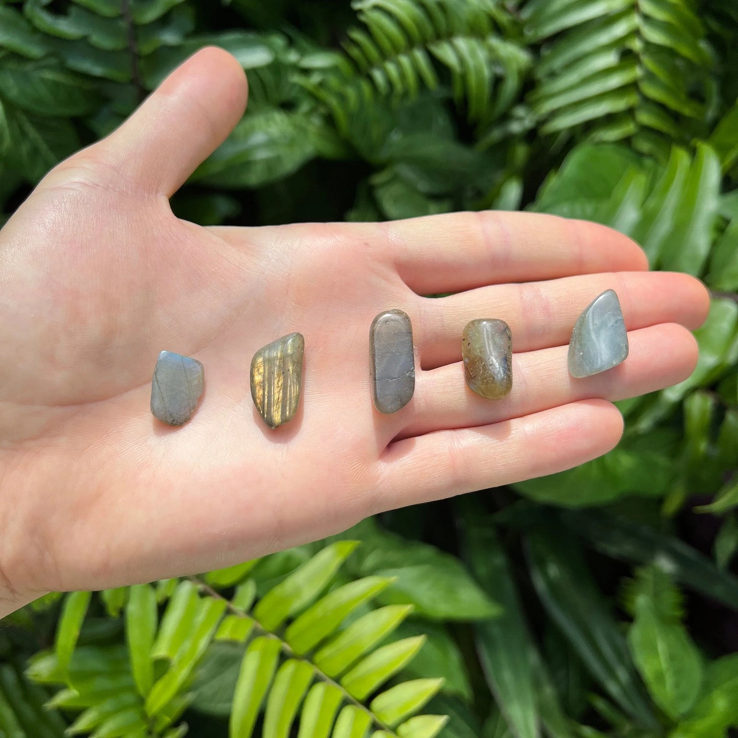 Back view of Grade AA Labradorite tumbled stone showing natural surface
