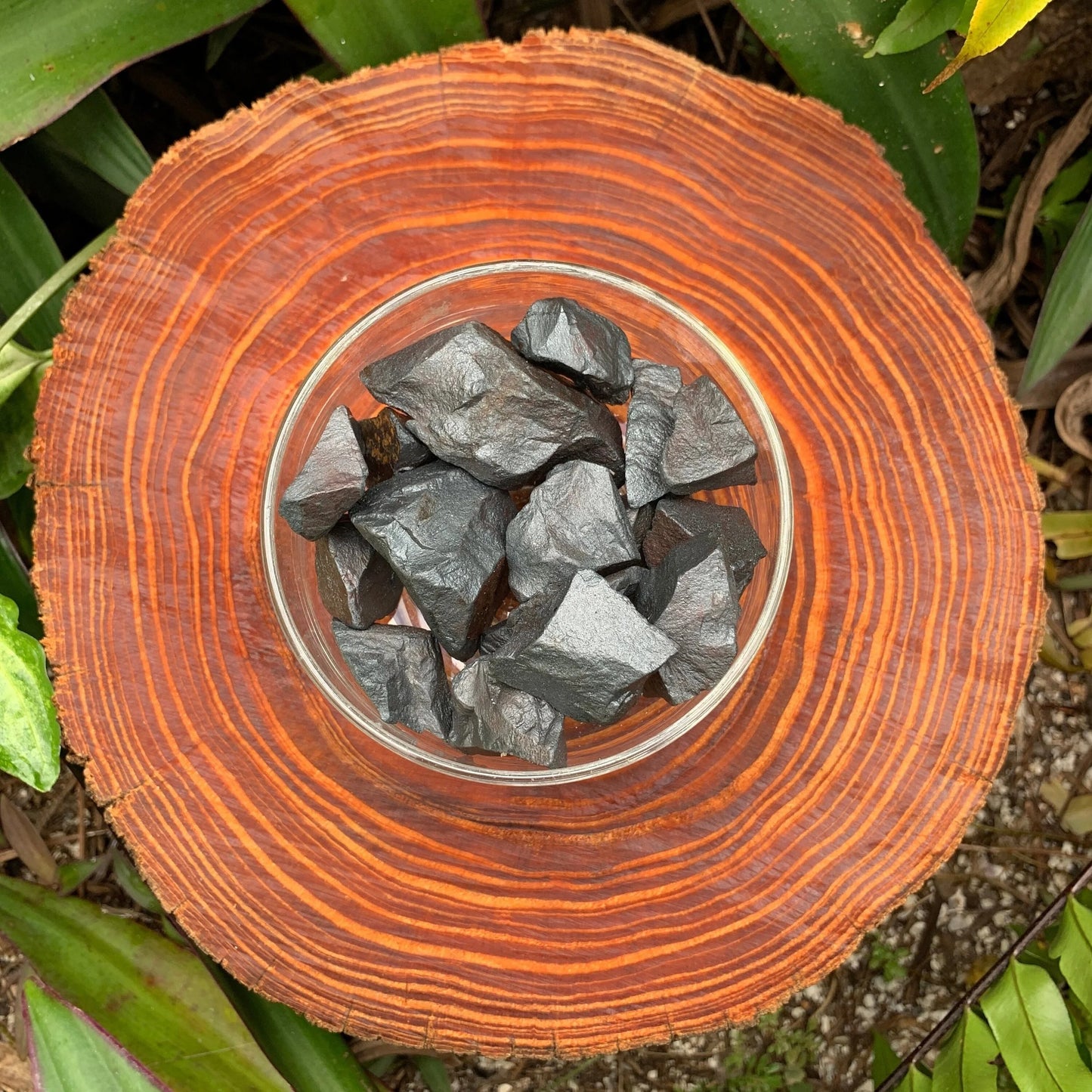 Natural light view of a Hematite raw stone held against natural backdrop, from Brazil.