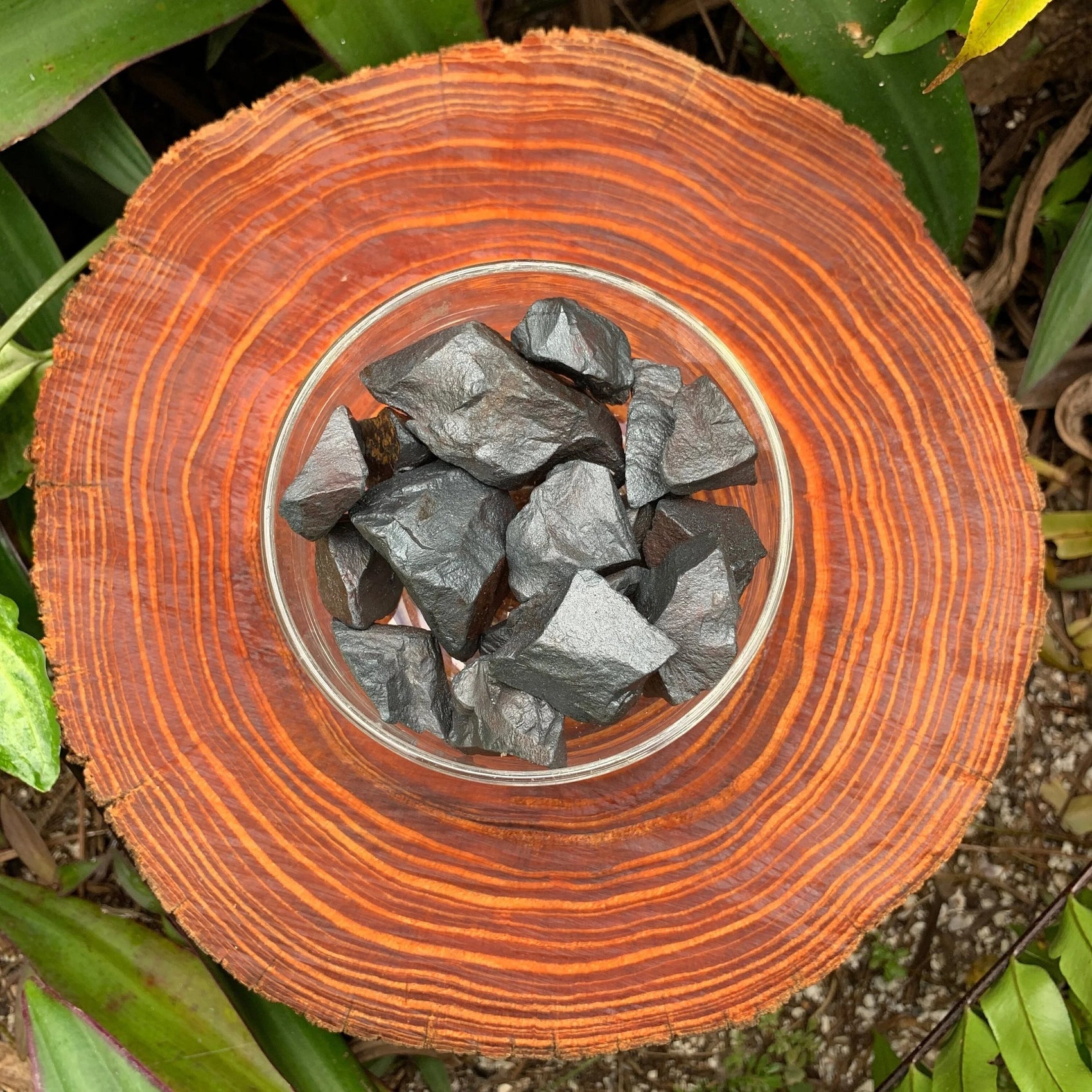 Natural light view of a Hematite raw stone held against natural backdrop, from Brazil.
