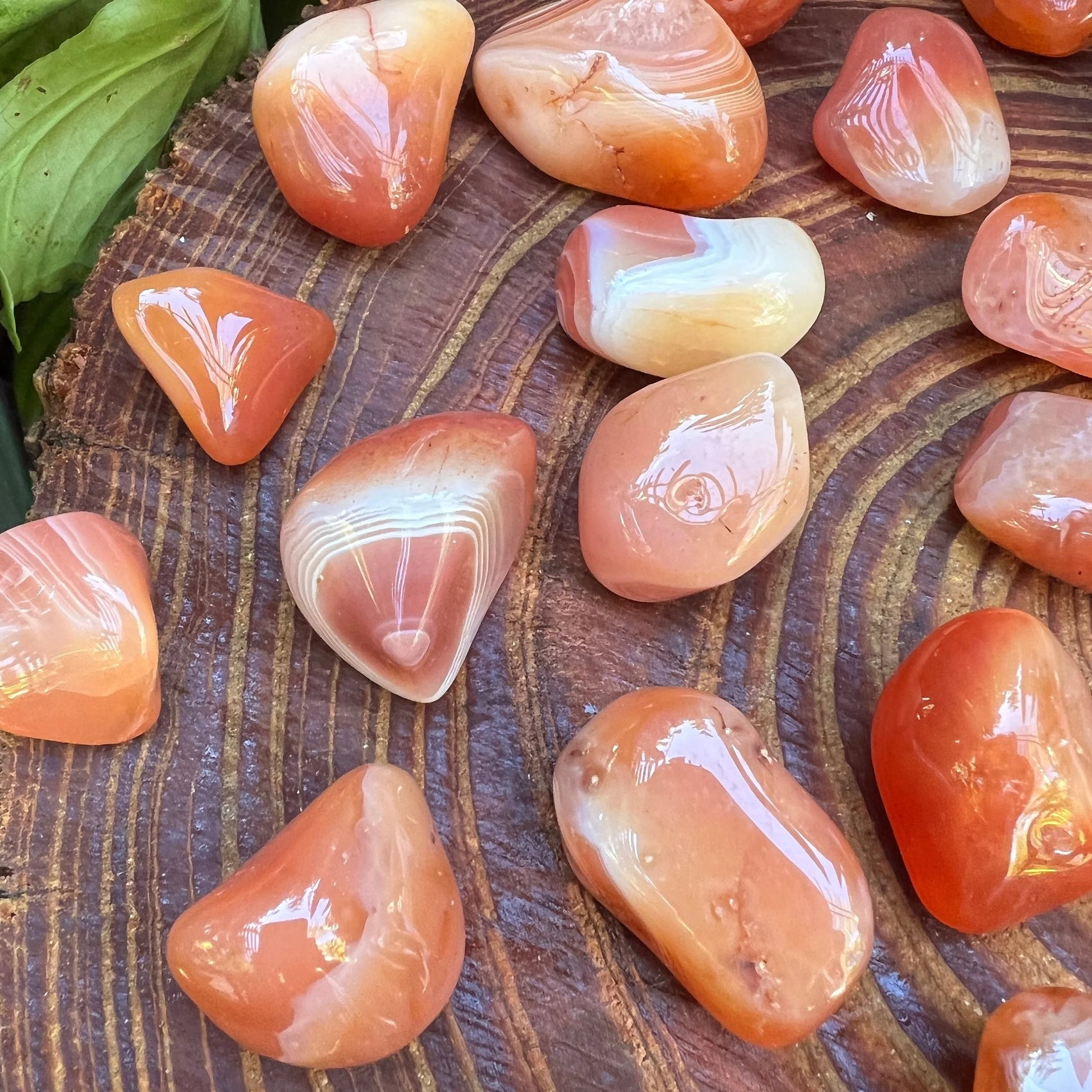 Top-down shot of orange Carnelian tumbled stone, sourced from Francistown, Botswana, showing earthy tone.
