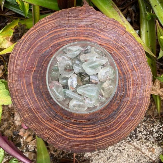 Hand-scale shot of a Lodolite tumbled stone held against natural backdrop.