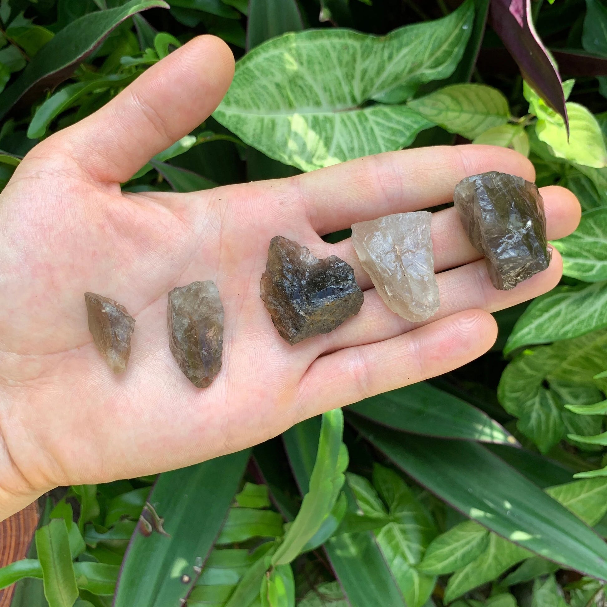 Full profile of Grade AA Smoky Quartz raw ready to ship from Beyond Bohemian