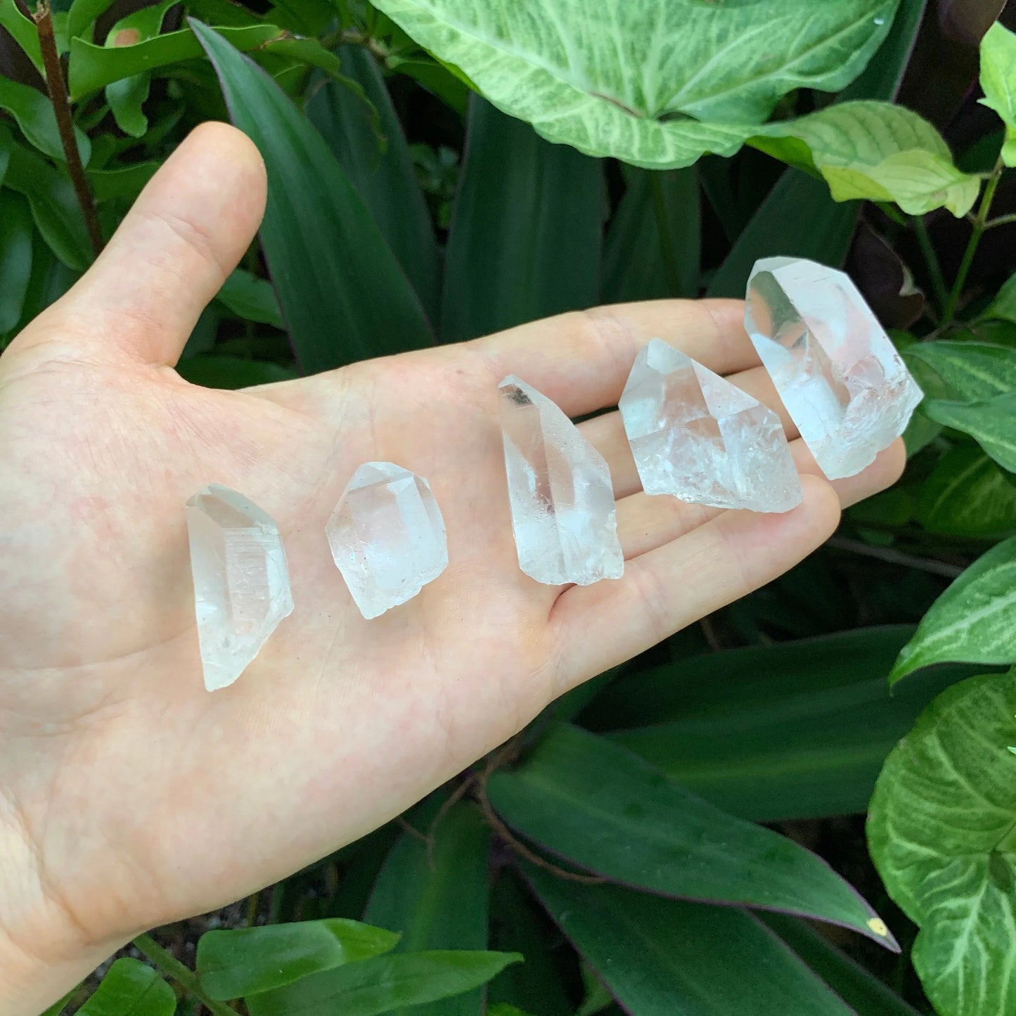 Holding a Clear Quartz raw crystal, from Minas Gerais, Brazil, with form visible in context.