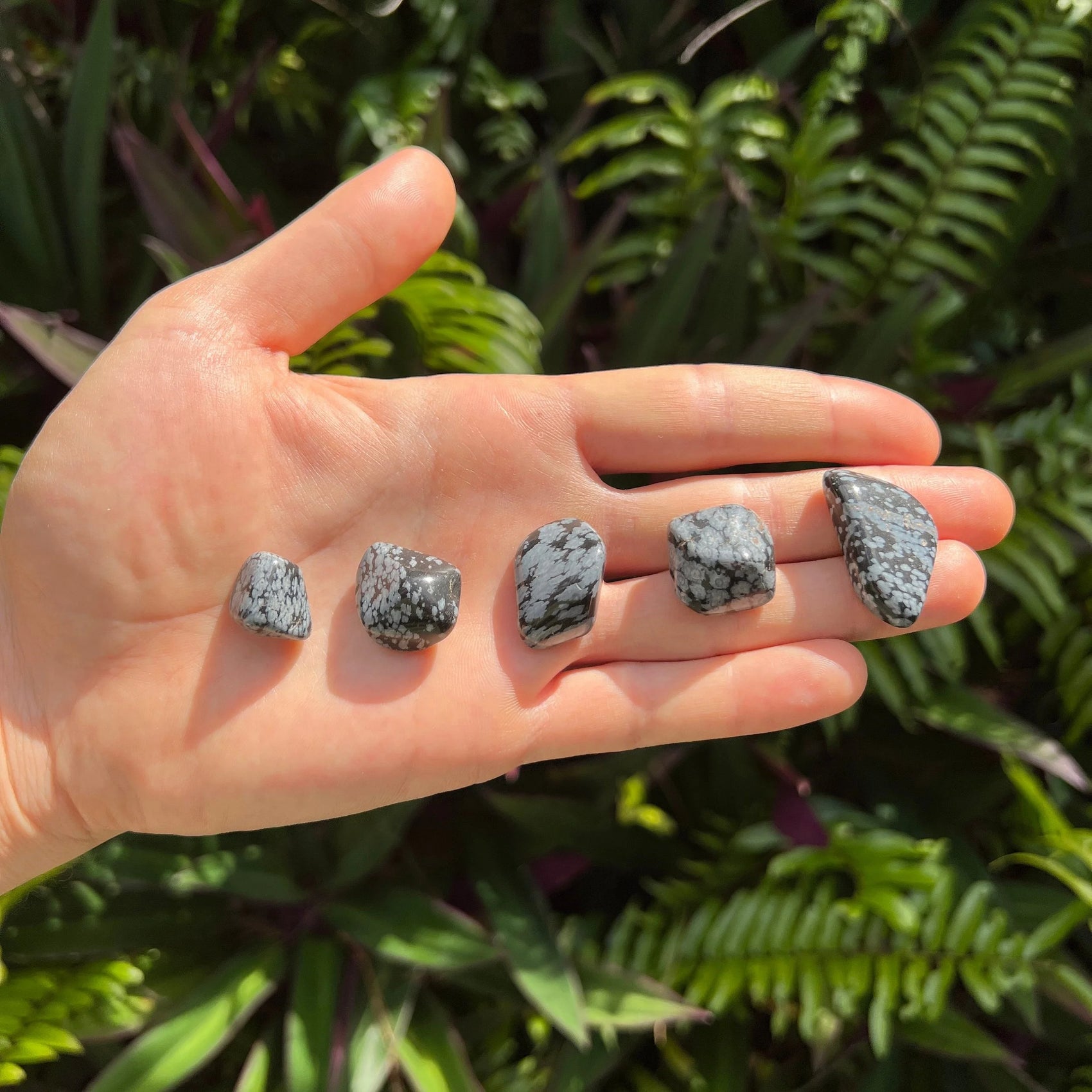 Detail shot of Grade AA Snowflake Obsidian tumbled stone under natural light