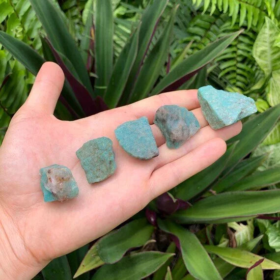Hand-scale shot of a Amazonite raw stone, from Canada.
