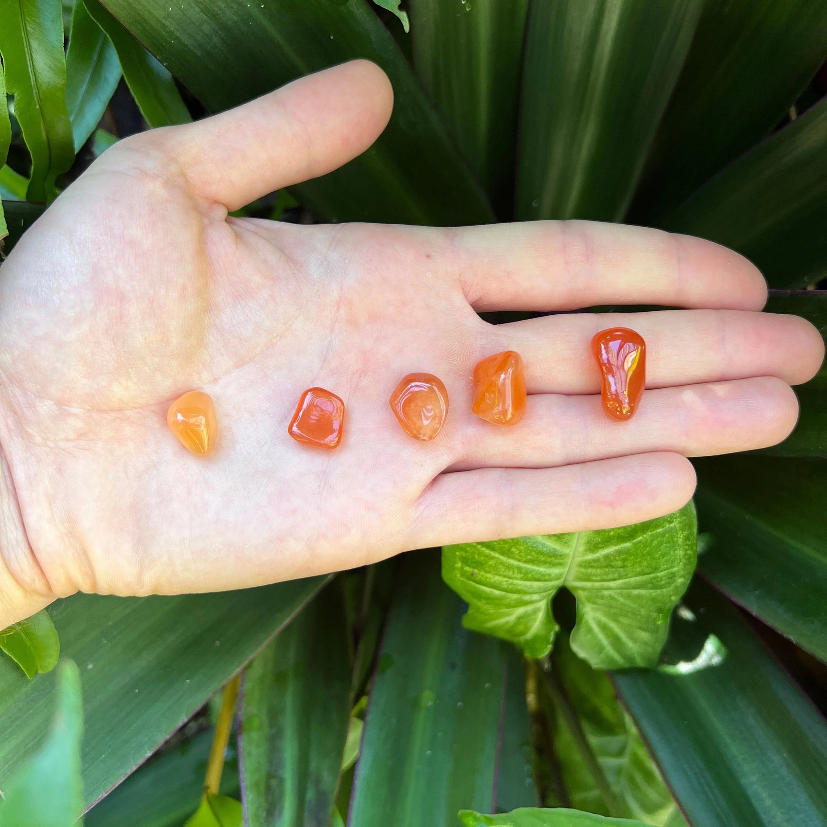 Full profile of Grade AA Carnelian tumbled stone ready to ship from Beyond Bohemian