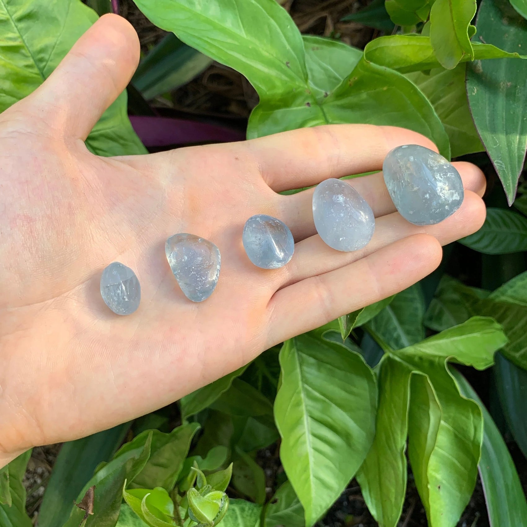 Full profile of Grade AA Celestite tumbled stone ready to ship from Beyond Bohemian