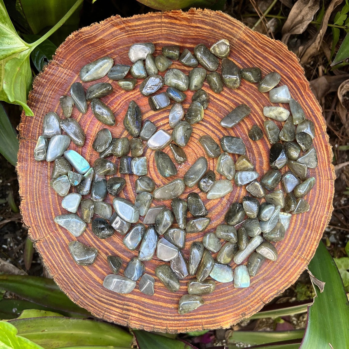 Close detail of Labradorite tumbled stone, showing natural sheen, Madagascar-sourced.