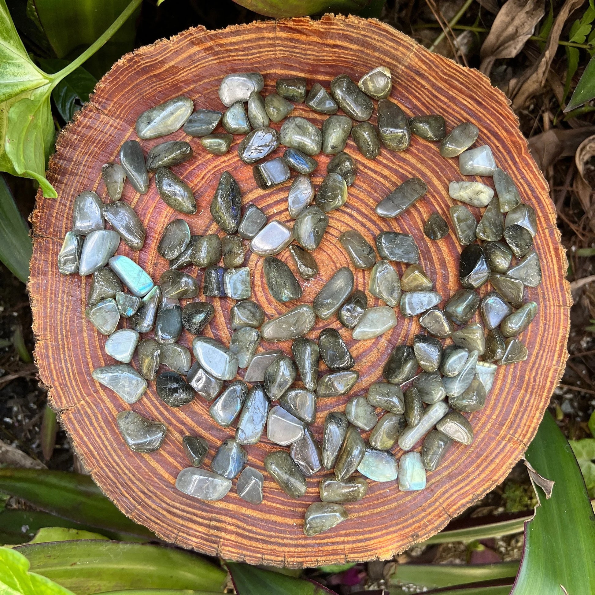 Close detail of Labradorite tumbled stone, showing natural sheen, Madagascar-sourced.