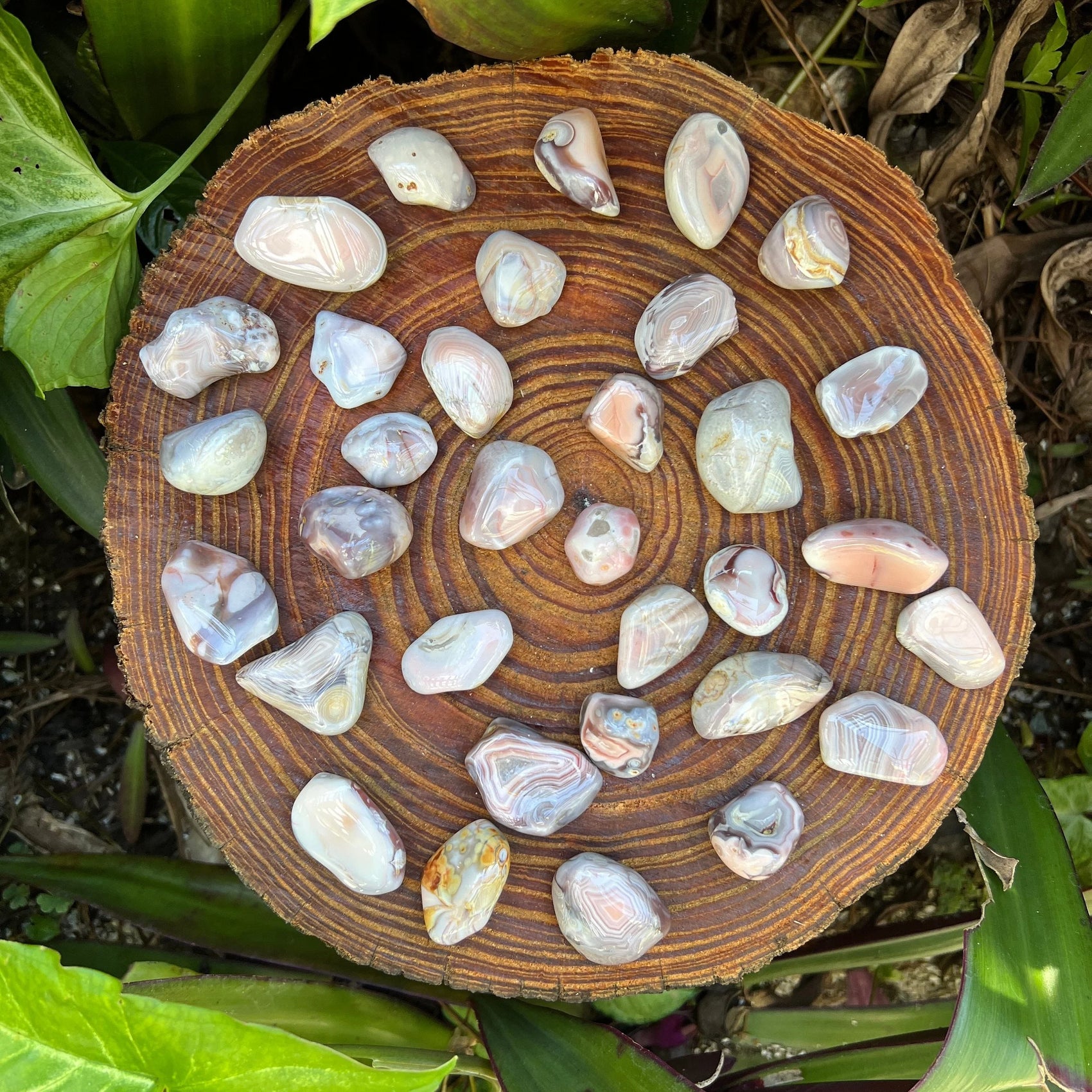 Close-up of Pink Agate tumbled stone from Botswana, soothing wellness stone for Emotional Healing