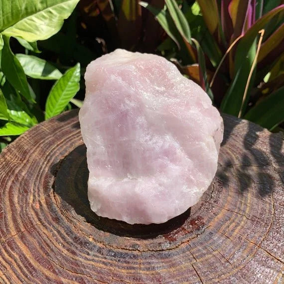 Whole-piece view of Rose Quartz specimen, with natural details visible.