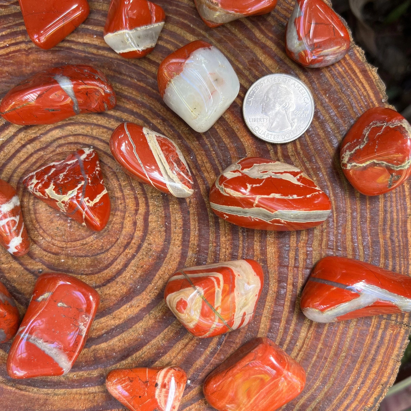 Plan view of Red Jasper tumbled stone, showing glassy finish, associated with Grounding.