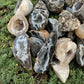 Detail shot of Grade AA Agate geode under natural light
