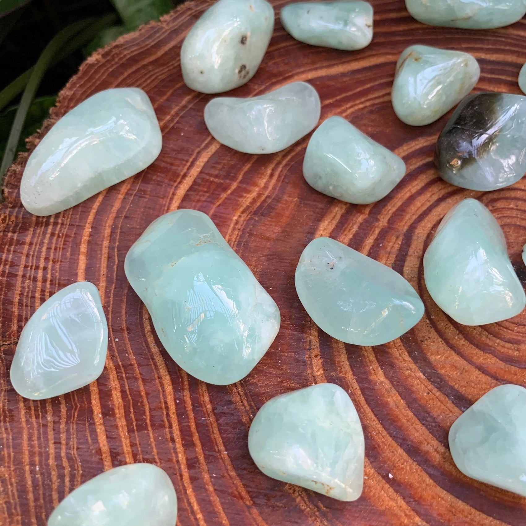 Handheld Prehnite tumbled stone from Namibia for meditation, Emotional Healing and Manifestation