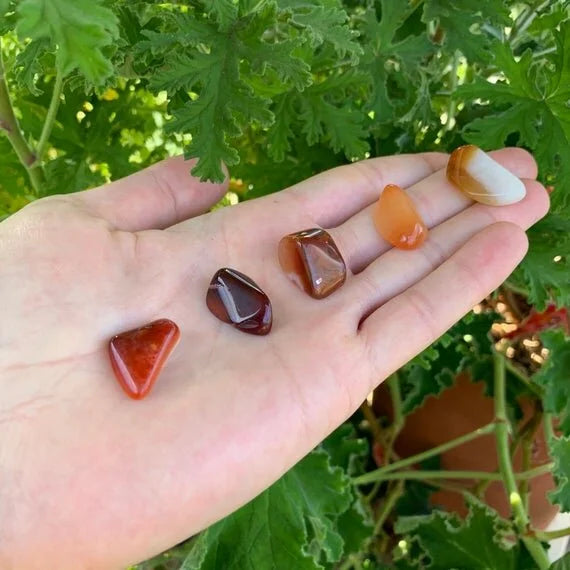 Full profile of Grade AA Carnelian tumbled stone ready to ship from Beyond Bohemian
