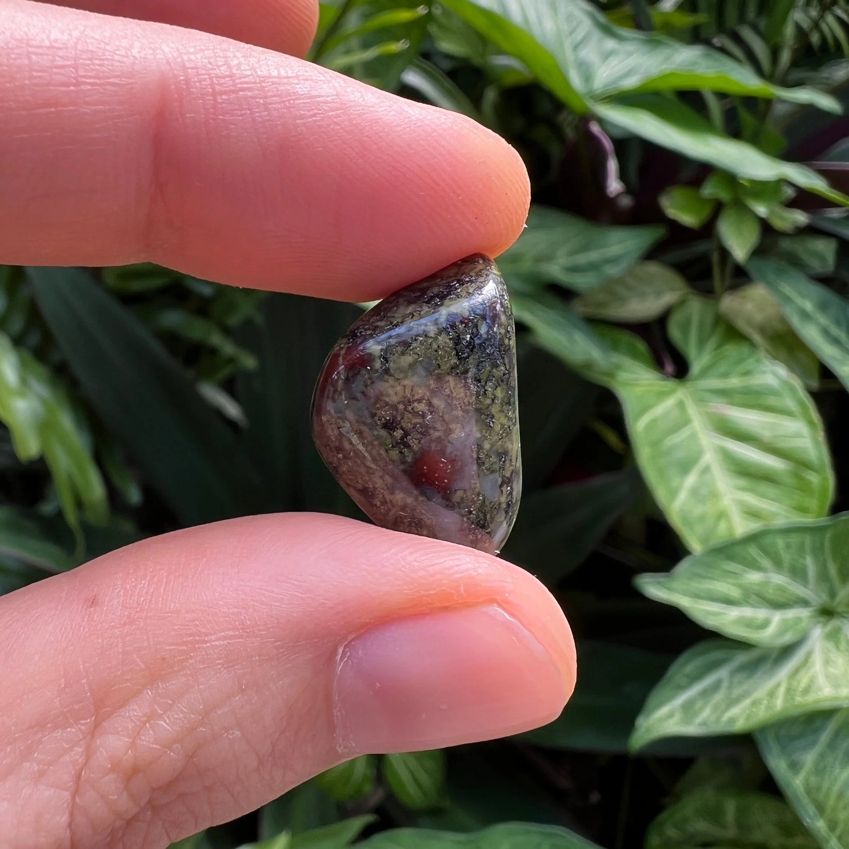 Looking down on Grade AA Dragon Bloodstone tumbled stone, showing natural sheen, from Limpopo, South Africa.
