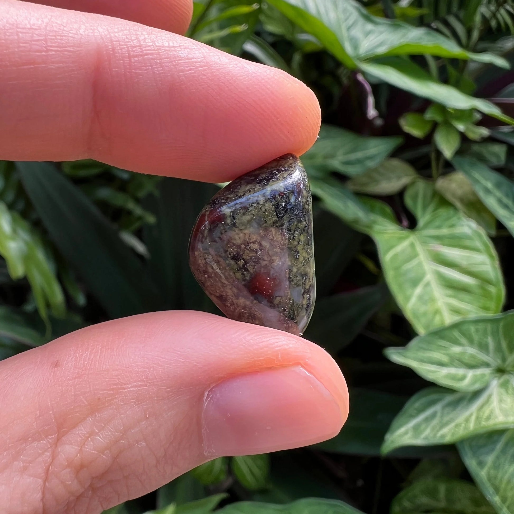 Looking down on Grade AA Dragon Bloodstone tumbled stone, showing natural sheen, from Limpopo, South Africa.