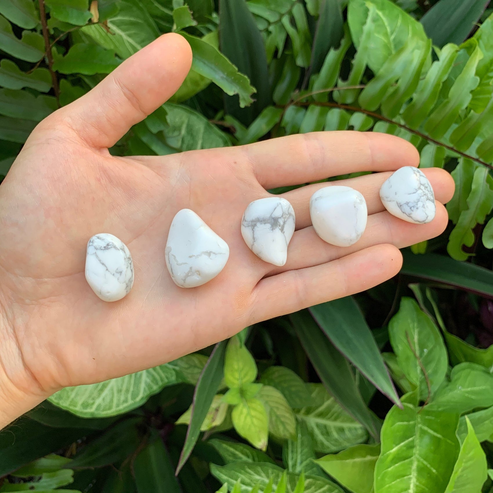Full profile of Grade AA Howlite tumbled stone ready to ship from Beyond Bohemian