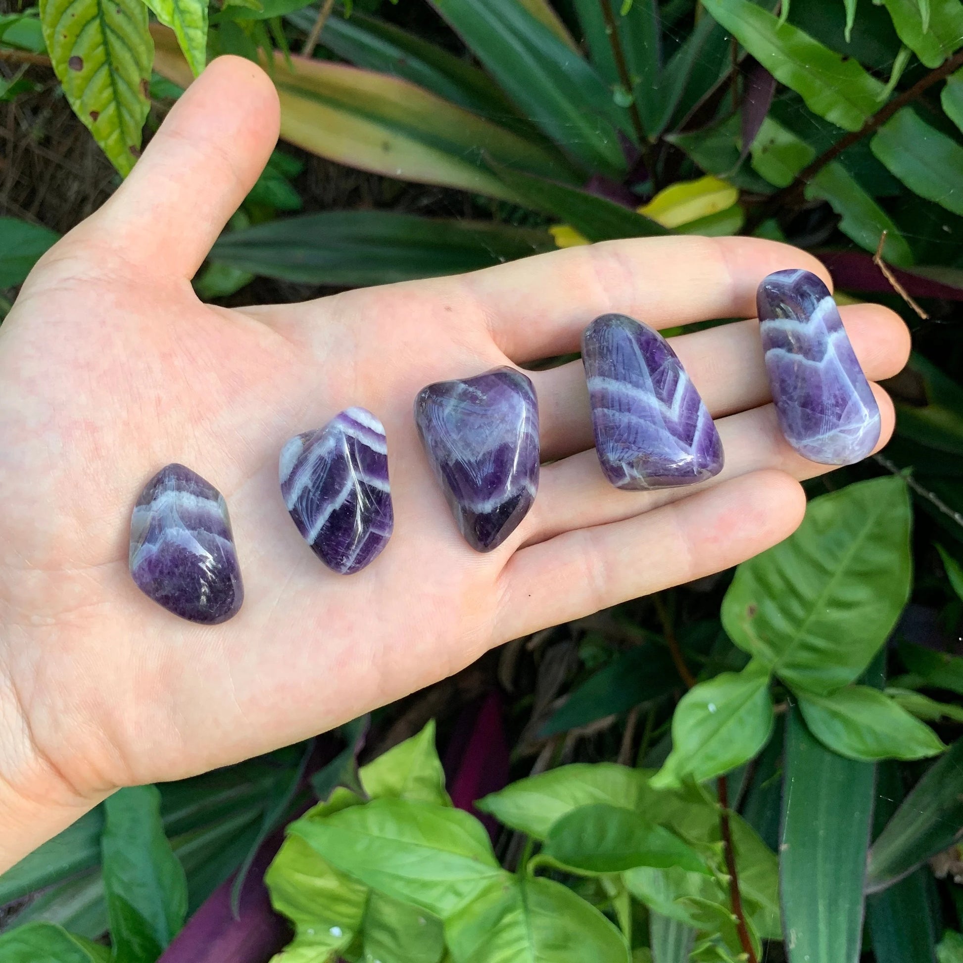 Composed shot of Chevron Amethyst tumbled stone, shown at hand scale.