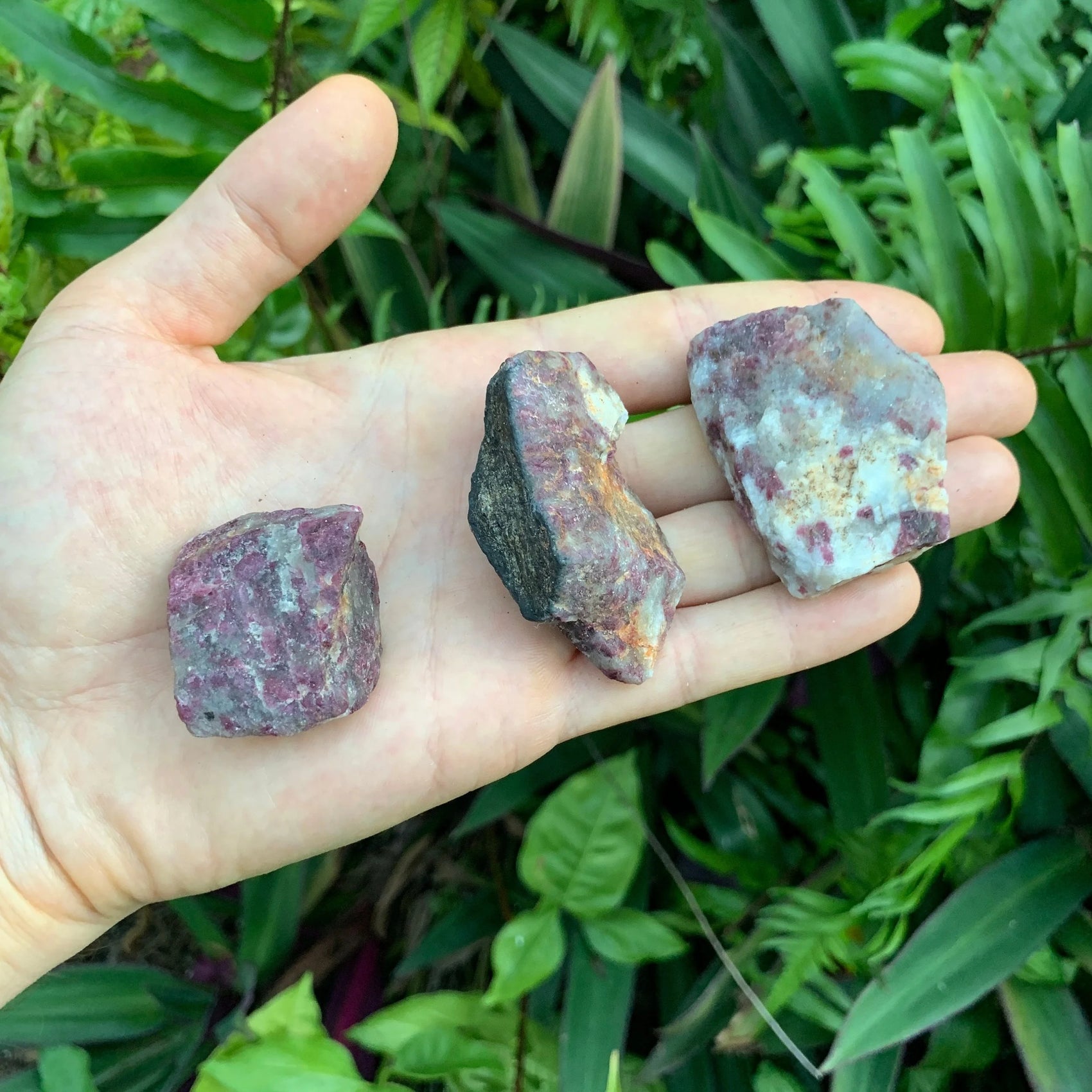 Hand-held view of a single Pink Tourmaline raw stone hand-selected from Vakinankaratra, Madagascar.