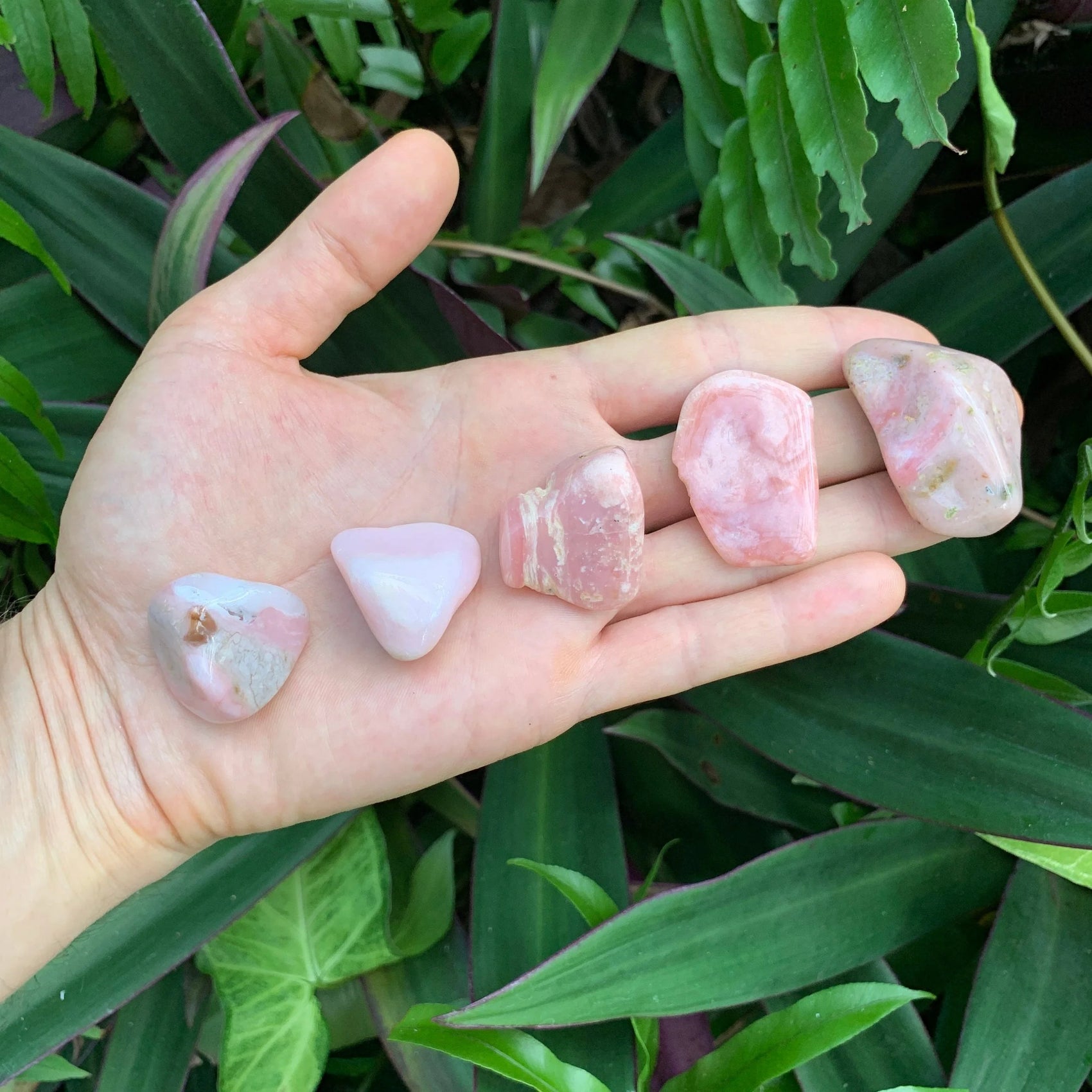 Back view of Grade A Pink Opal tumbled stone showing natural surface
