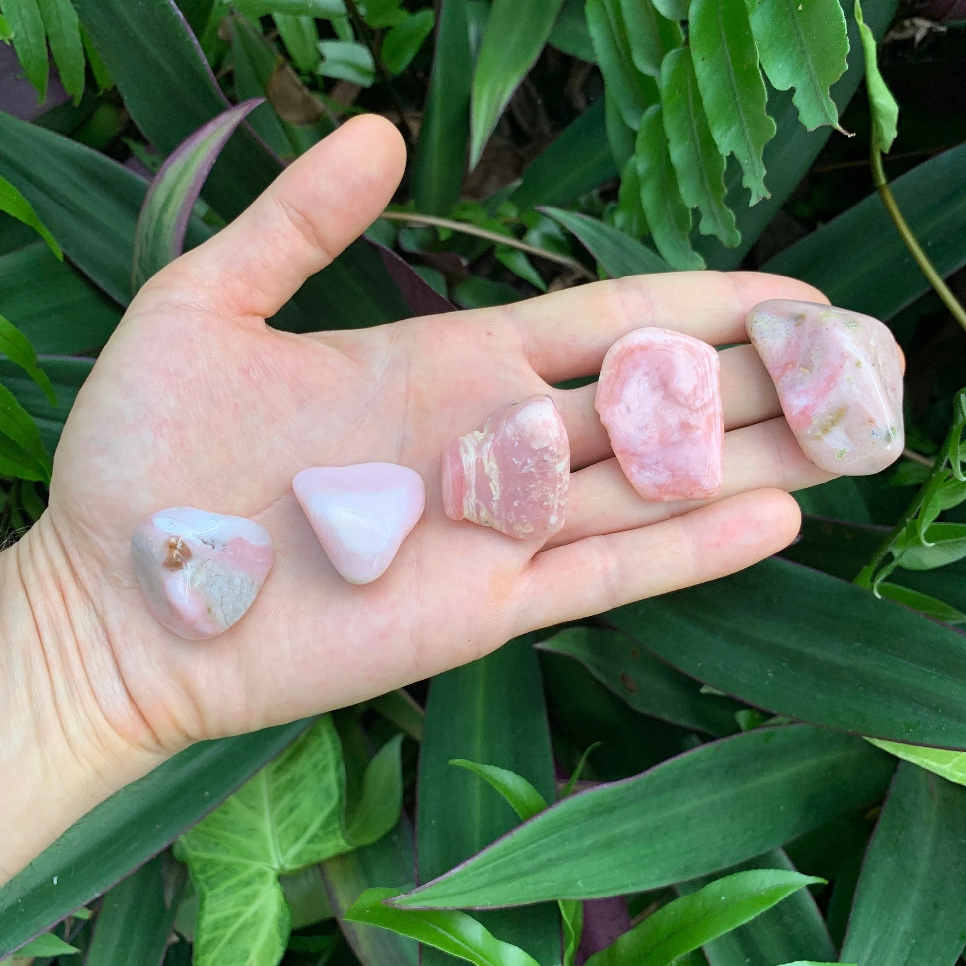 Back view of Grade A Pink Opal tumbled stone showing natural surface