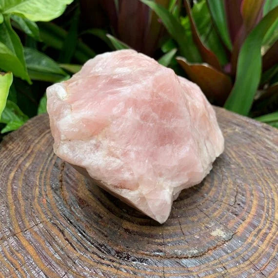 Studio-style view of Rose Quartz specimen, showing natural surface character.