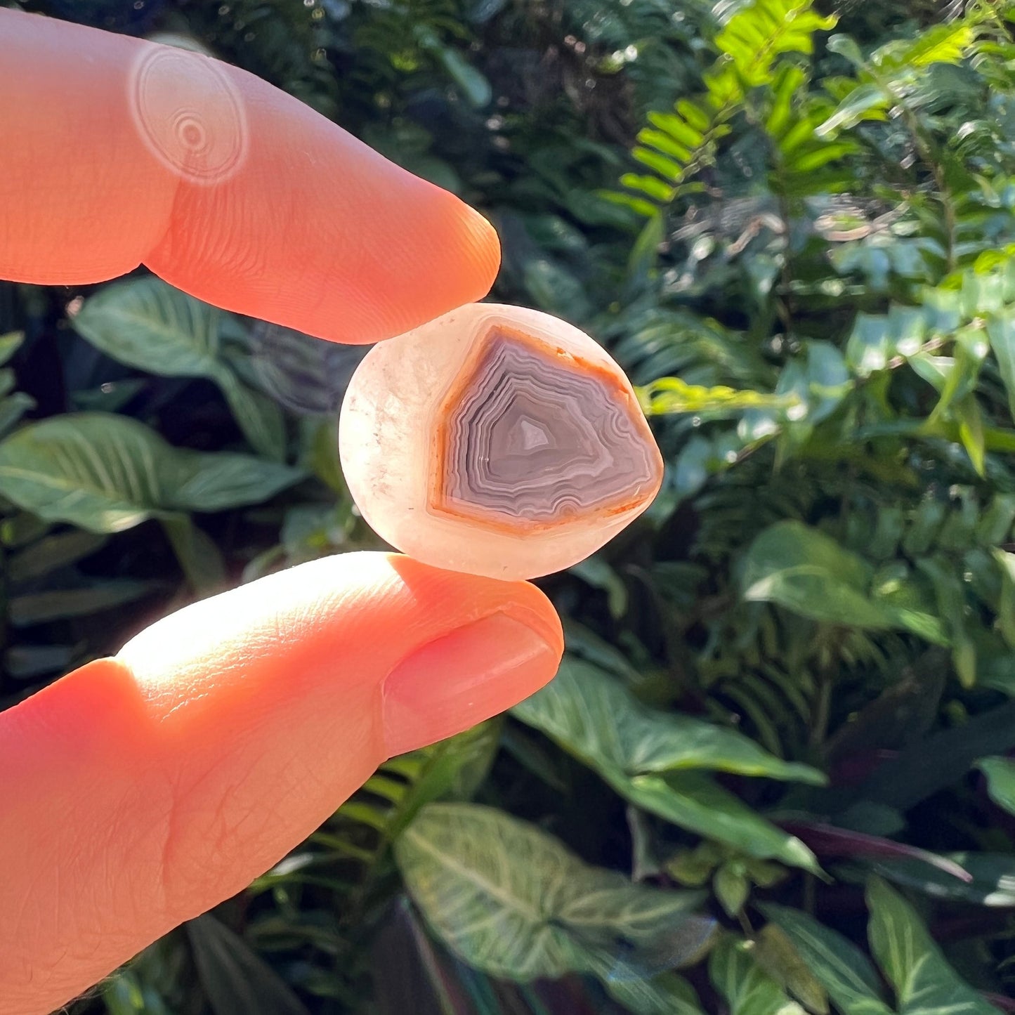 Grade a crazy lace agate tumbled stone held in hand for size reference