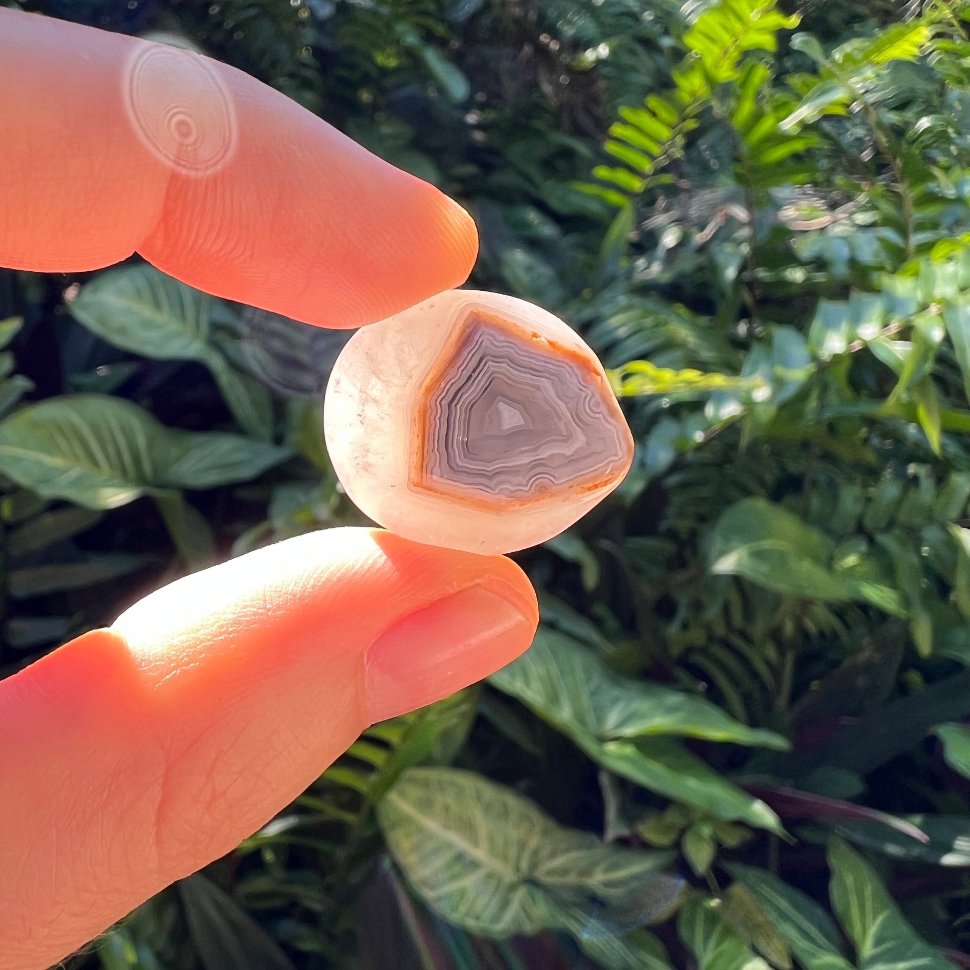 Grade a crazy lace agate tumbled stone held in hand for size reference