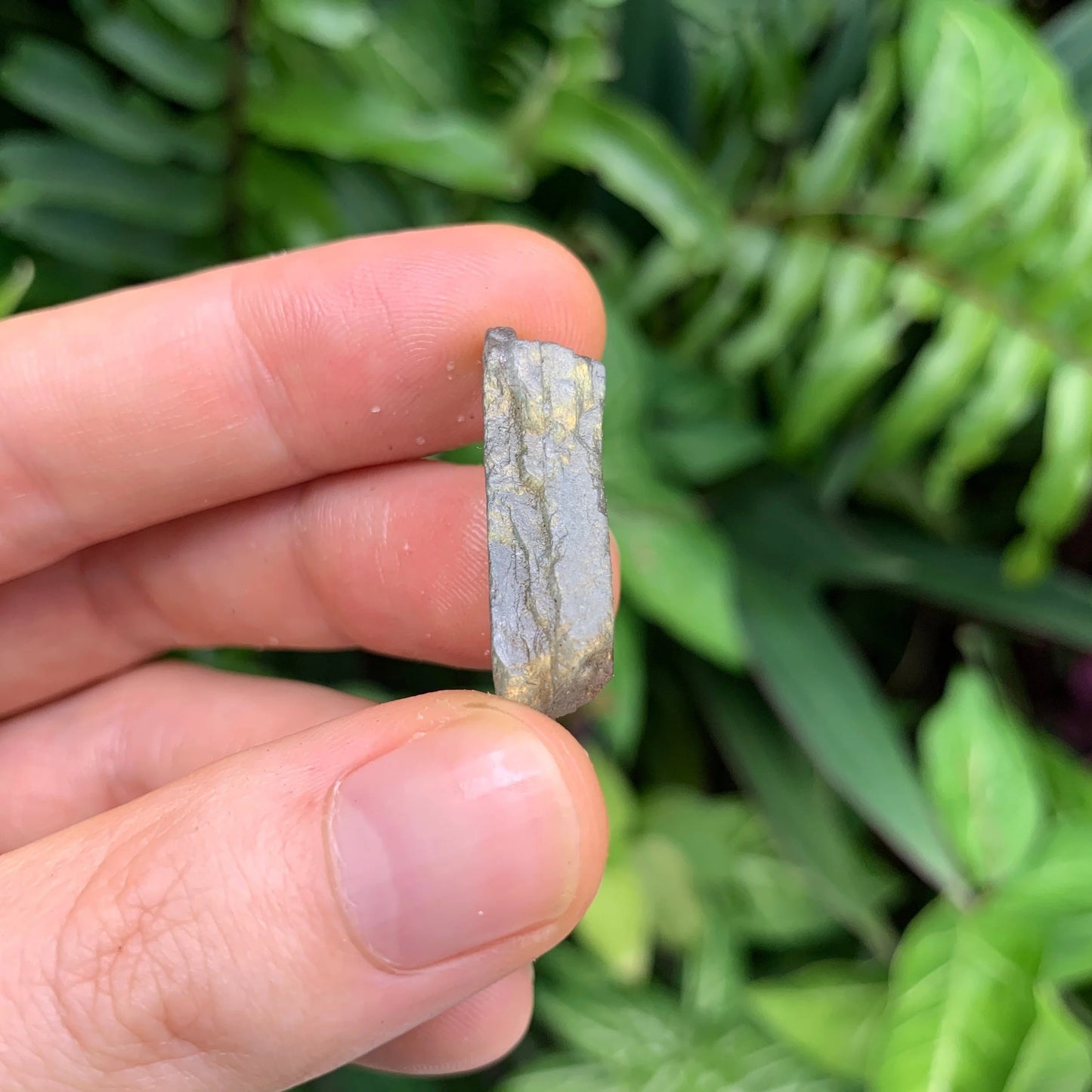 Full profile of Grade AA Labradorite raw ready to ship from Beyond Bohemian
