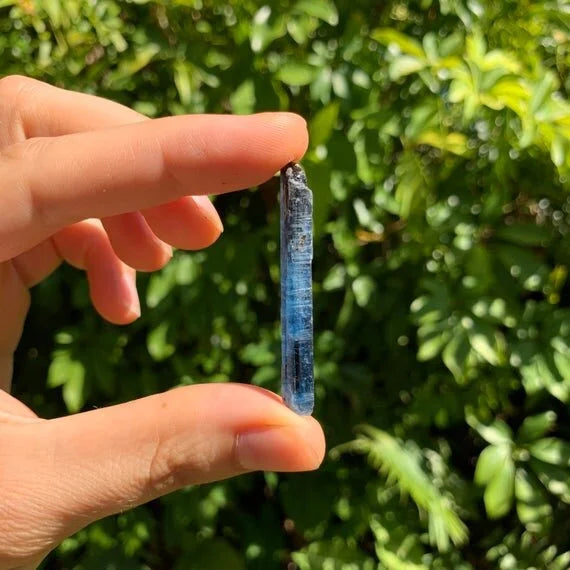 Handheld Blue Kyanite raw crystal from Zimbabwe for meditation, Intuition and Focus