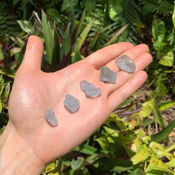 Palm-scale view of a Celestite raw stone carried for Stress Relief.