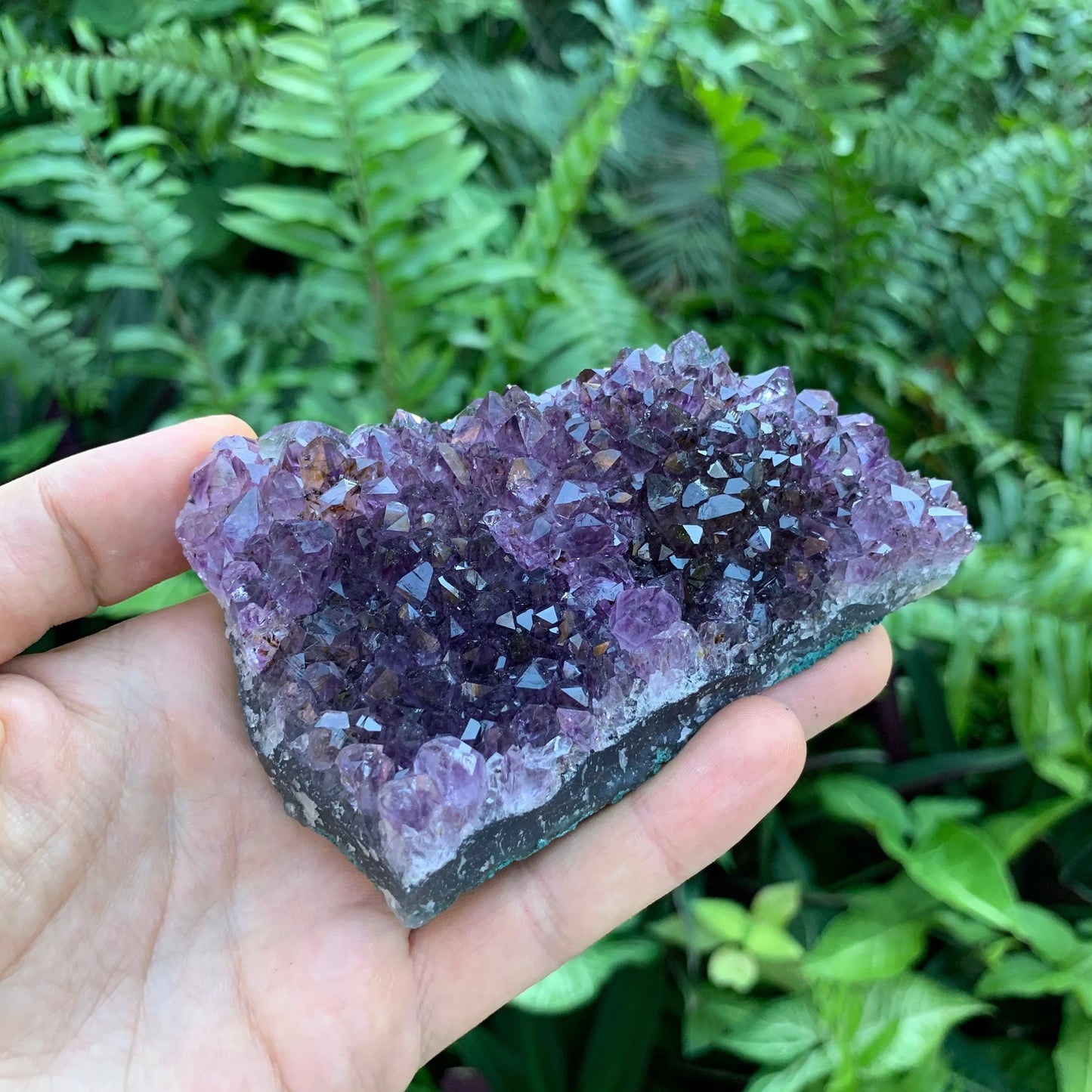 Back view of Grade AA Amethyst specimen, showing natural texture.