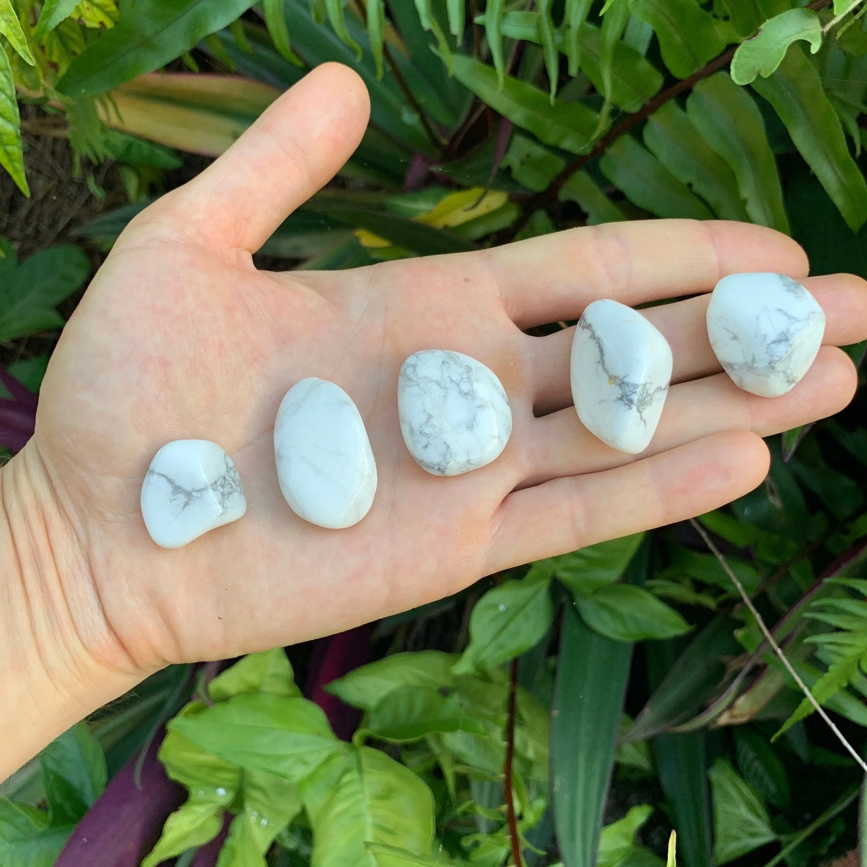 Full profile of Grade AA Howlite tumbled stone ready to ship from Beyond Bohemian