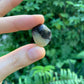 Hand-held view of a Septarian tumbled stone, sourced from Mahajanga, Madagascar.