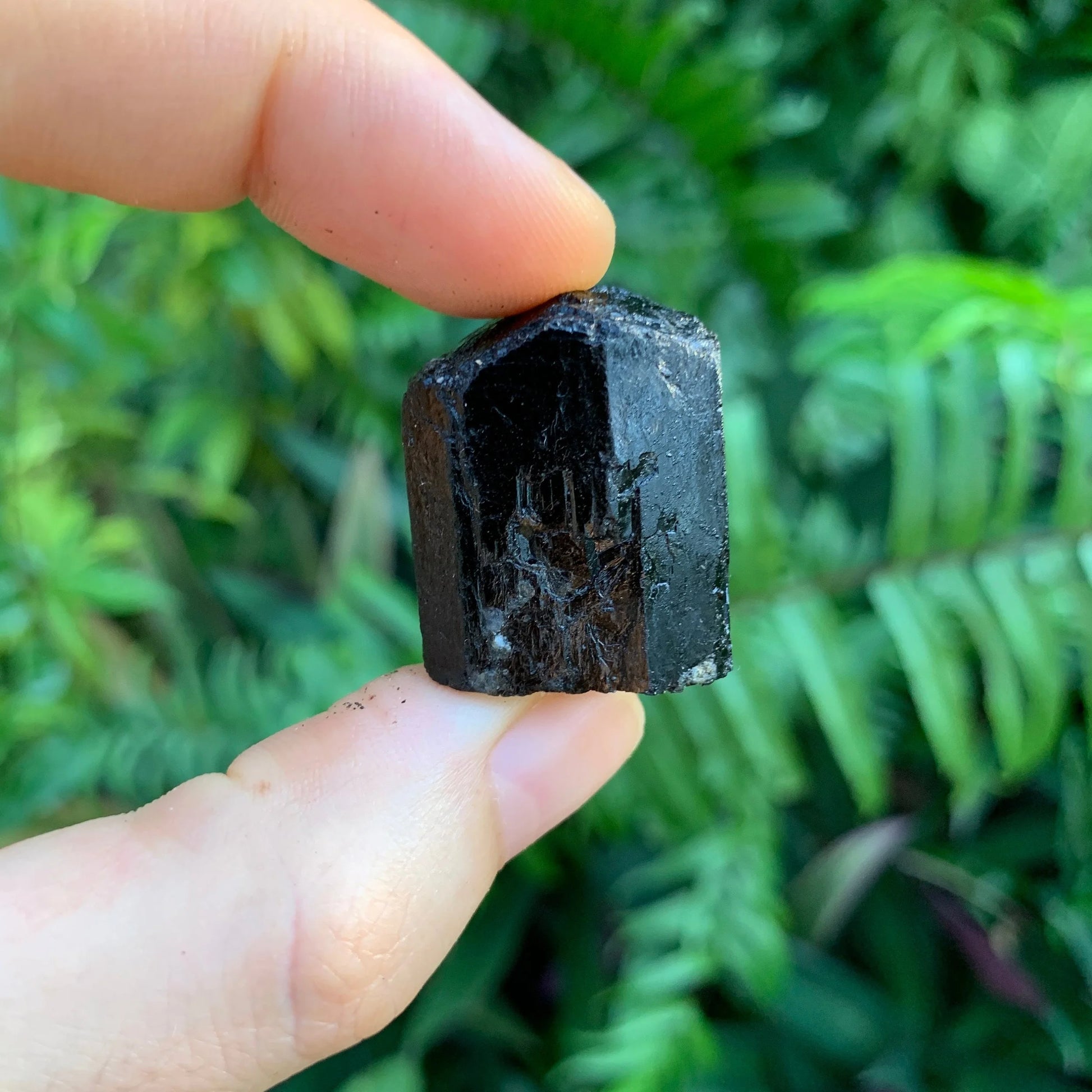 Detail shot of Grade AA Black Tourmaline raw under natural light
