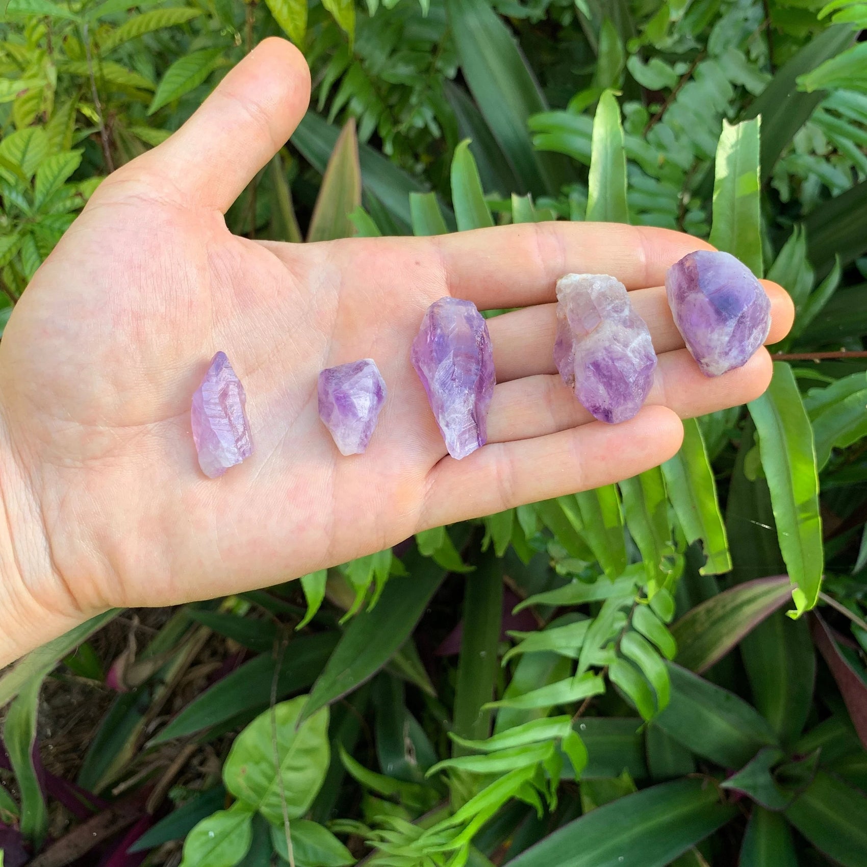 Detail shot of Grade AA Amethyst raw under natural light